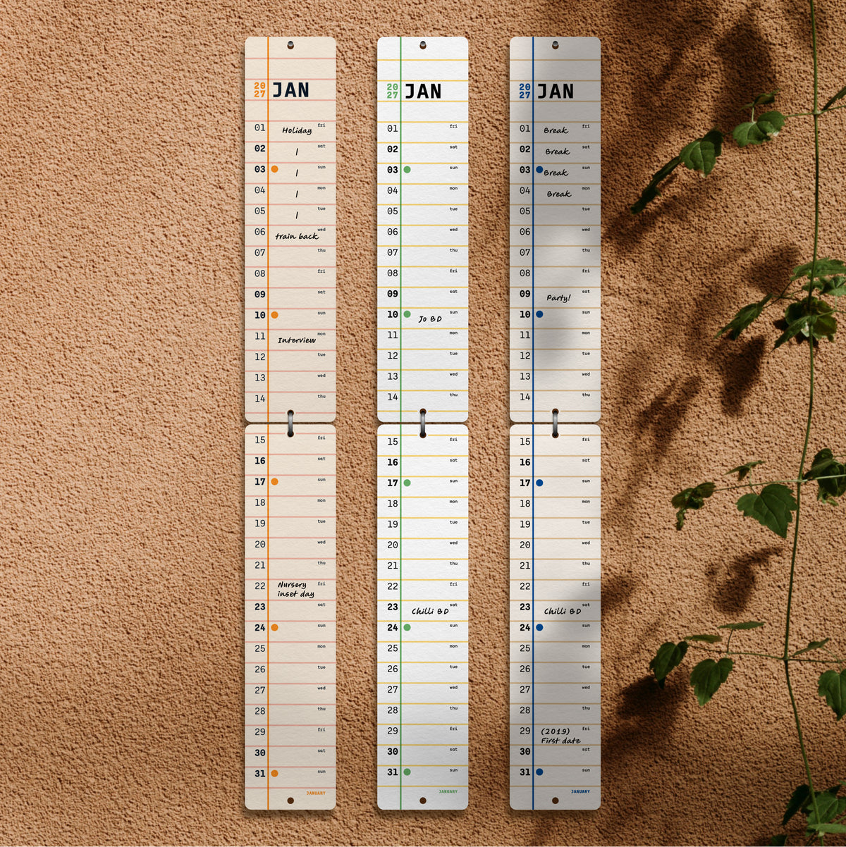 Three vertical wall calendars for January hanging on a textured beige wall, with a green plant leafy vine casting shadows on the right side.