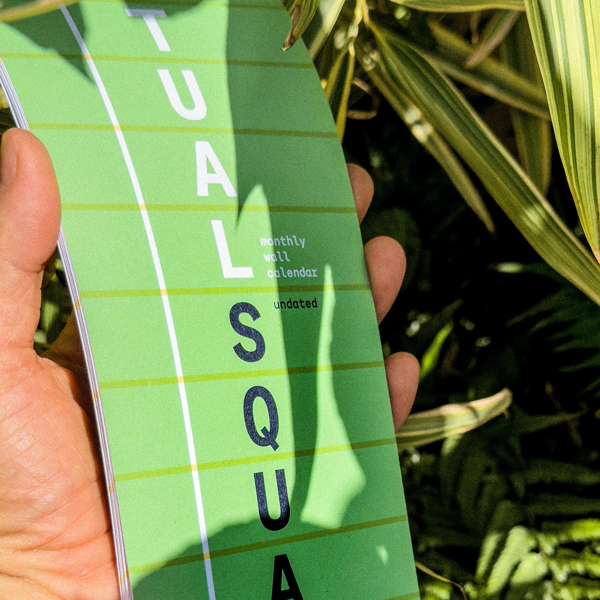 Squared: perpetual monthly wall calendar